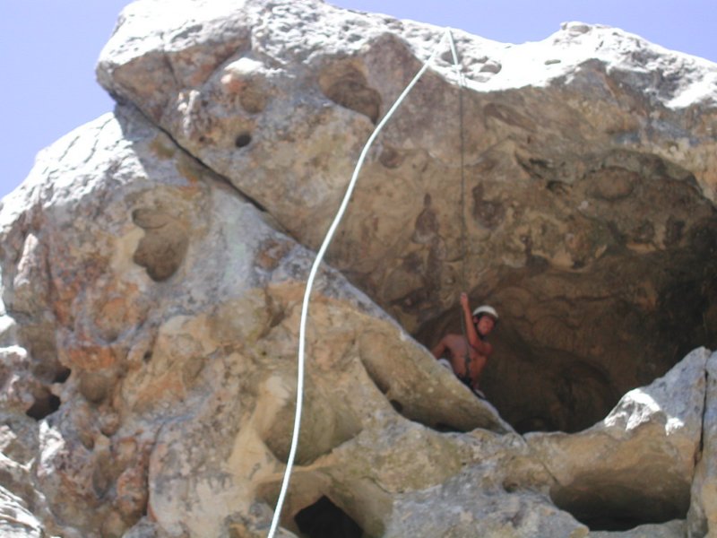 Photograph