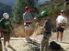 Photo Number 8