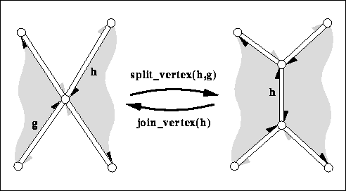Euler Vertex Operator