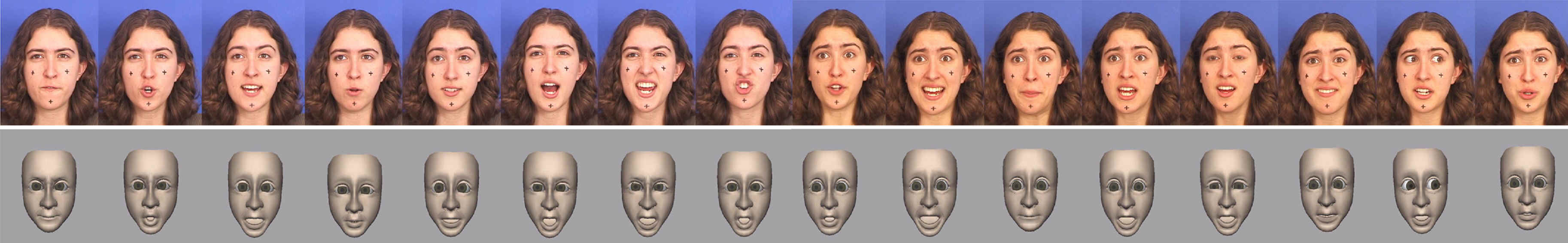 Performance driven facial animation using blendshape interpolation