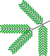 Tree Set Visualization