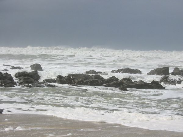 Click to see next picture