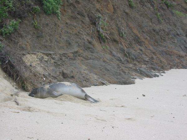 Click to see next picture