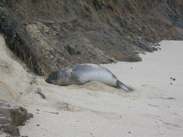 Click to see next picture