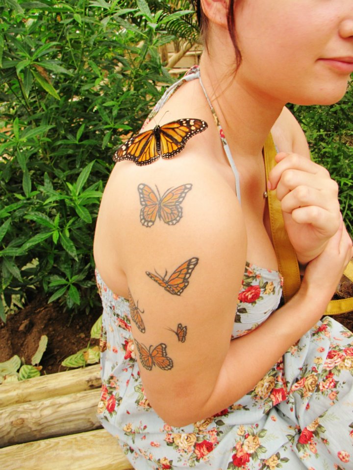 A butterfly took a liking to my friend's tattoo.