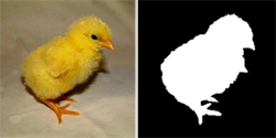 constrast_saliency
