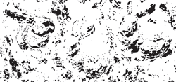 emergence_sigA_09