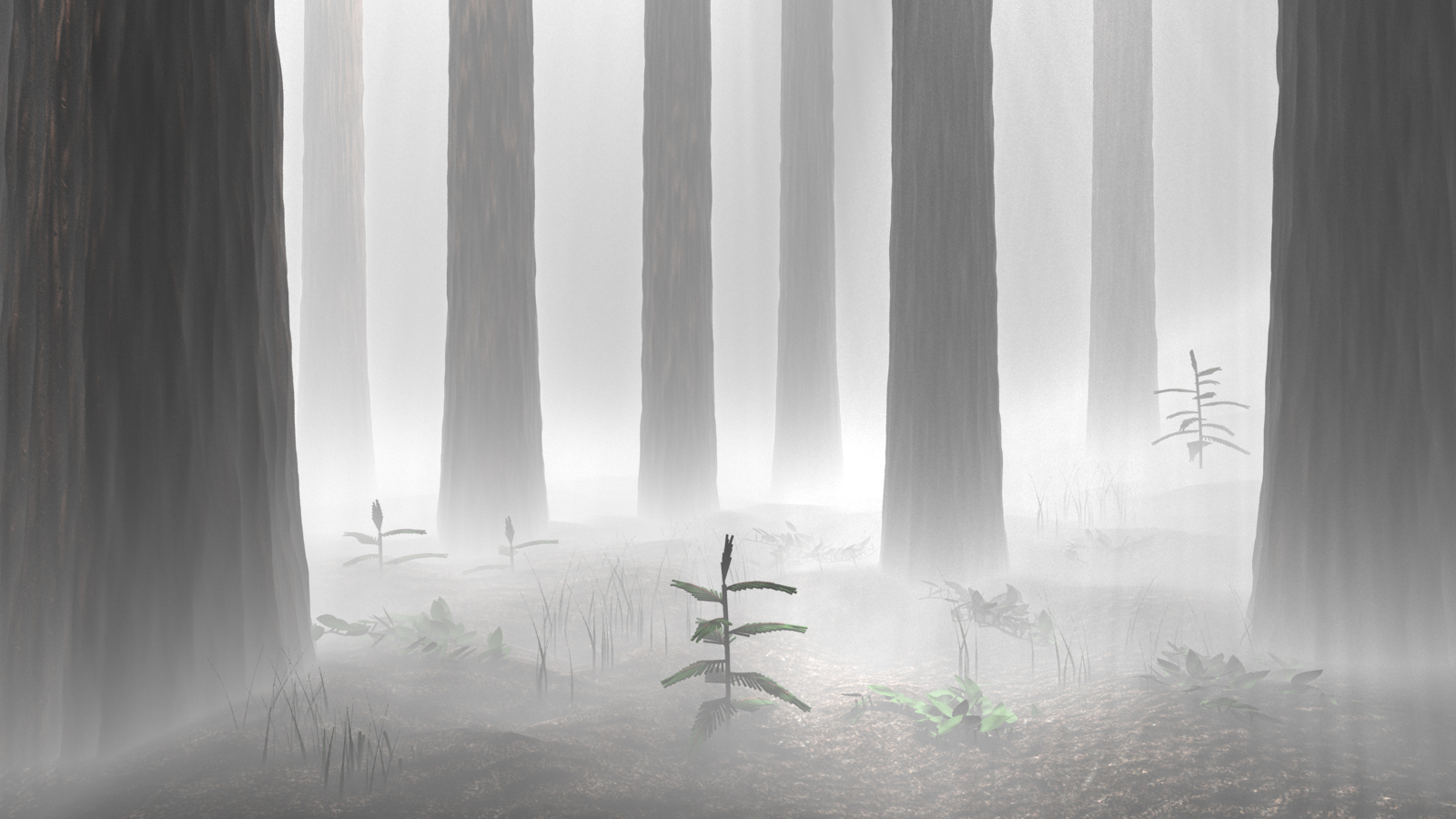 Redwoods in Fog - CS348b Rendering Project